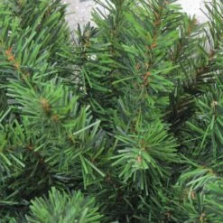 Northlight 32" Canadian Pine Door Swag -Northlight Sale Store D253724S 2