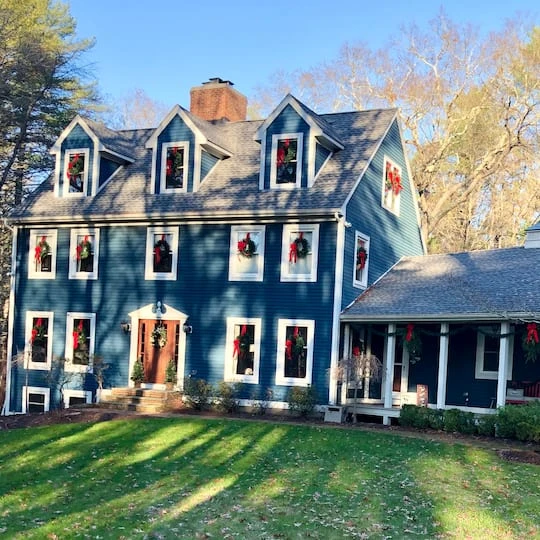 Northlight 24" Canadian Pine Artificial Christmas Wreath 12 Northlight 24" Canadian Pine Artificial Christmas Wreath - Image 12