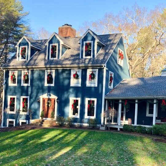 Northlight 24" Canadian Pine Artificial Christmas Wreath 6 Northlight 24" Canadian Pine Artificial Christmas Wreath - Image 6