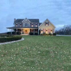 Northlight 2.5ft. Canadian Pine Artificial Christmas Wreath 25 Northlight 2.5ft. Canadian Pine Artificial Christmas Wreath -Northlight Sale Store D253773S 16