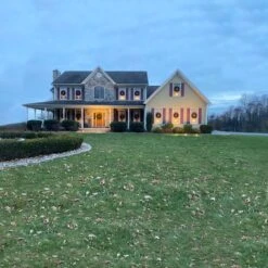 Northlight 2.5ft. Canadian Pine Artificial Christmas Wreath 19 Northlight 2.5ft. Canadian Pine Artificial Christmas Wreath -Northlight Sale Store D253773S 6