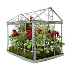 Northlight 9" Red & Green Cardinal Boxwood Artificial Christmas Greenhouse Arrangement
