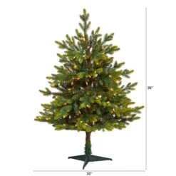 3ft. Pre-Lit North Carolina Fir Artificial Christmas Tree With Clear LED Lights 10 3ft. Pre-Lit North Carolina Fir Artificial Christmas Tree With Clear LED Lights -Northlight Sale Store D255810S 2