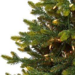 3ft. Pre-Lit North Carolina Fir Artificial Christmas Tree With Clear LED Lights 11 3ft. Pre-Lit North Carolina Fir Artificial Christmas Tree With Clear LED Lights -Northlight Sale Store D255810S 3