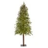 8ft. Pre-Lit Wyoming Alpine Artificial Christmas Tree, Clear LED Lights