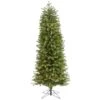 6.5ft. Pre-Lit Colorado Mountain Spruce Artificial Christmas Tree, Warm White LED Lights