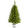 3ft. Pre-Lit Providence Pine Artificial Christmas Tree, Warm White Lights
