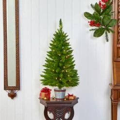 3ft. Pre-Lit Providence Pine Artificial Christmas Tree, Warm White Lights -Northlight Sale Store D255850S 7