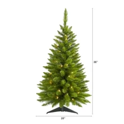 3ft. Pre-Lit Providence Pine Artificial Christmas Tree, Warm White LED Lights 21 3ft. Pre-Lit Providence Pine Artificial Christmas Tree, Warm White LED Lights -Northlight Sale Store D255859S 2