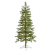 6.5ft. Pre-Lit Fairbanks Fir Artificial Christmas Tree, Clear LED Lights