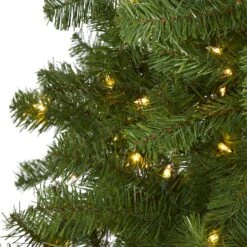 6ft. Pre-Lit Springfield Artificial Christmas Tree, Clear LED Lights -Northlight Sale Store D255886S 3