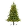 5ft. Pre-Lit Colorado Mountain Fir Artificial Christmas Tree, Clear LED Lights