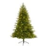 6ft. Pre-Lit Colorado Mountain Fir Artificial Christmas Tree, Clear LED Lights