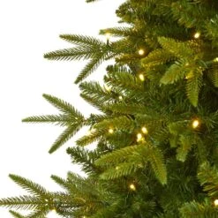 6ft. Pre-Lit Colorado Mountain Fir Artificial Christmas Tree, Clear LED Lights -Northlight Sale Store D256000S 3