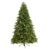 7.5ft. Pre-Lit Wyoming Fir Artificial Christmas Tree With Clear LED Lights