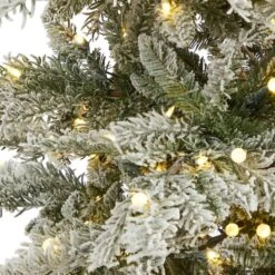 7.5ft. Pre-Lit Slim Flocked Nova Scotia Spruce Artificial Christmas Tree With Warm White LED Lights -Northlight Sale Store D256091S 4