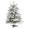3ft. Pre-Lit Flocked North Carolina Fir Artificial Christmas Tree With Warm White Lights