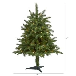 3ft. Pre-Lit South Carolina Spruce Artificial Christmas Tree, White Warm Lights -Northlight Sale Store D256102S 2