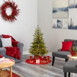 4ft. Pre-Lit North Carolina Spruce Artificial Christmas Tree, Clear LED Lights -Northlight Sale Store D256103S 6