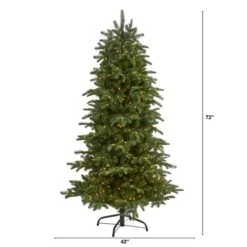 6ft. Pre-Lit South Carolina Fir Artificial Christmas Tree, Clear LED Lights -Northlight Sale Store D256112S 2