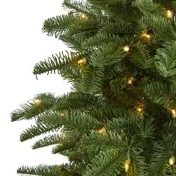 6ft. Pre-Lit South Carolina Fir Artificial Christmas Tree, Clear LED Lights -Northlight Sale Store D256112S 3