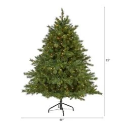 6ft. Pre-Lit Wyoming Mixed Pine Artificial Christmas Tree, Clear LED Lights -Northlight Sale Store D256134S 2