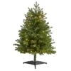 3ft. Pre-Lit Washington Fir Artificial Christmas Tree, Clear LED Lights