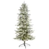 6.5ft. Pre-Lit Nova Scotia Spruce Artificial Christmas Tree, Warm White LED Lights