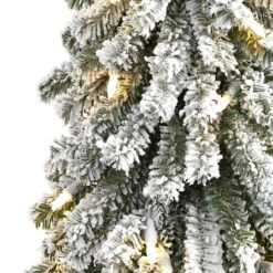 2ft. Pre-Lit Grand Alpine Artificial Christmas Tree, Clear LED Lights -Northlight Sale Store D256191S 3