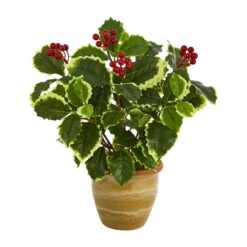 14" Variegated Holly Plant In Ceramic Planter