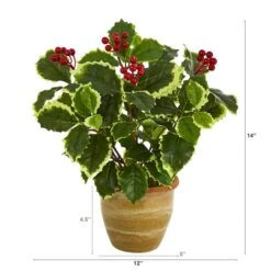 14" Variegated Holly Plant In Ceramic Planter -Northlight Sale Store D262456S 2