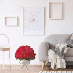 3ft. Red Grand Poinsettia Arrangement In White Vase With Metal Stand 9 3ft. Red Grand Poinsettia Arrangement In White Vase With Metal Stand -Northlight Sale Store D292863S 13