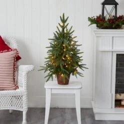 2.5ft. Pre-Lit Christmas Tree With Planter, Clear Lights -Northlight Sale Store D292909S 25