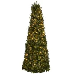 3t. Pre-Lit Boxwood Cone Artificial Christmas Tree, Clear Lights -Northlight Sale Store D322427S 2