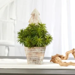 15" Unlit Succulent Artificial Plant In Christmas Tree Planter -Northlight Sale Store D322510S 4