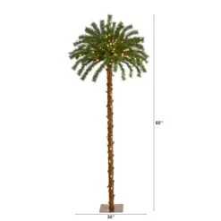 5ft. Pre-Lit Palm Artificial Christmas Tree, Warm White LED Lights -Northlight Sale Store D322522S 2