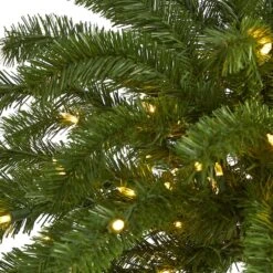5ft. Pre-Lit Palm Artificial Christmas Tree, Warm White LED Lights -Northlight Sale Store D322522S 3