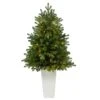 3.5ft. Pre-Lit Washington Fir Artificial Christmas Tree In Tower Planter, Clear Lights