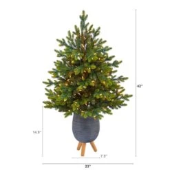 3.5ft. Pre-Lit North Carolina Fir Artificial Christmas Tree In Gray Planter With Stand, Clear Lights 10 3.5ft. Pre-Lit North Carolina Fir Artificial Christmas Tree In Gray Planter With Stand, Clear Lights -Northlight Sale Store D322712S 2