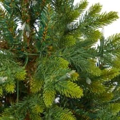 3.5ft. Pre-Lit North Carolina Fir Artificial Christmas Tree In Gray Planter With Stand, Clear Lights 12 3.5ft. Pre-Lit North Carolina Fir Artificial Christmas Tree In Gray Planter With Stand, Clear Lights -Northlight Sale Store D322712S 5