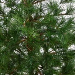 3.5ft. Unlit Yukon Mixed Pine Artificial Christmas Tree In Bronze Metal Planter -Northlight Sale Store D322761S 3