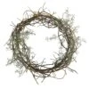 17" Frosted Twig Wreath