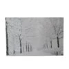 Northlight Fiber Optic Lighted Snowfall Winter Lane Christmas Canvas Wall Art