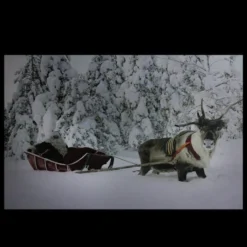 Northlight Fiber Optic Lighted Santa In His Sleigh Canvas Wall Art 6 Northlight Fiber Optic Lighted Santa In His Sleigh Canvas Wall Art -Northlight Sale Store D361840S 2