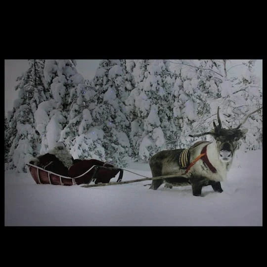 Northlight Fiber Optic Lighted Santa In His Sleigh Canvas Wall Art 3 Northlight Fiber Optic Lighted Santa In His Sleigh Canvas Wall Art - Image 3