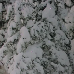 Northlight Fiber Optic Lighted Santa In His Sleigh Canvas Wall Art 7 Northlight Fiber Optic Lighted Santa In His Sleigh Canvas Wall Art -Northlight Sale Store D361840S 3