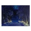 Northlight LED Lighted Nighttime In The Woods Winter Scene Canvas Wall Art