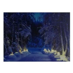 Northlight LED Lighted Nighttime In The Woods Winter Scene Canvas Wall Art