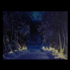 Northlight LED Lighted Nighttime In The Woods Winter Scene Canvas Wall Art -Northlight Sale Store D361851S 3