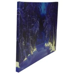Northlight LED Lighted Nighttime In The Woods Winter Scene Canvas Wall Art -Northlight Sale Store D361851S 4